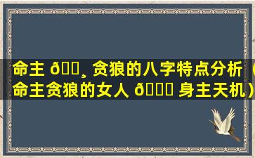 命主 🌸 贪狼的八字特点分析（命主贪狼的女人 🐘 身主天机）